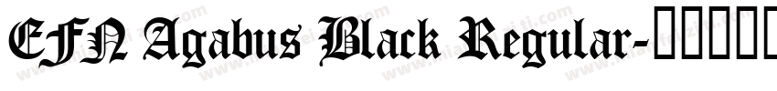 EFN Agabus Black Regular字体转换